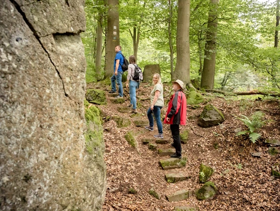 Ausflugsziel: Hohe Buche
