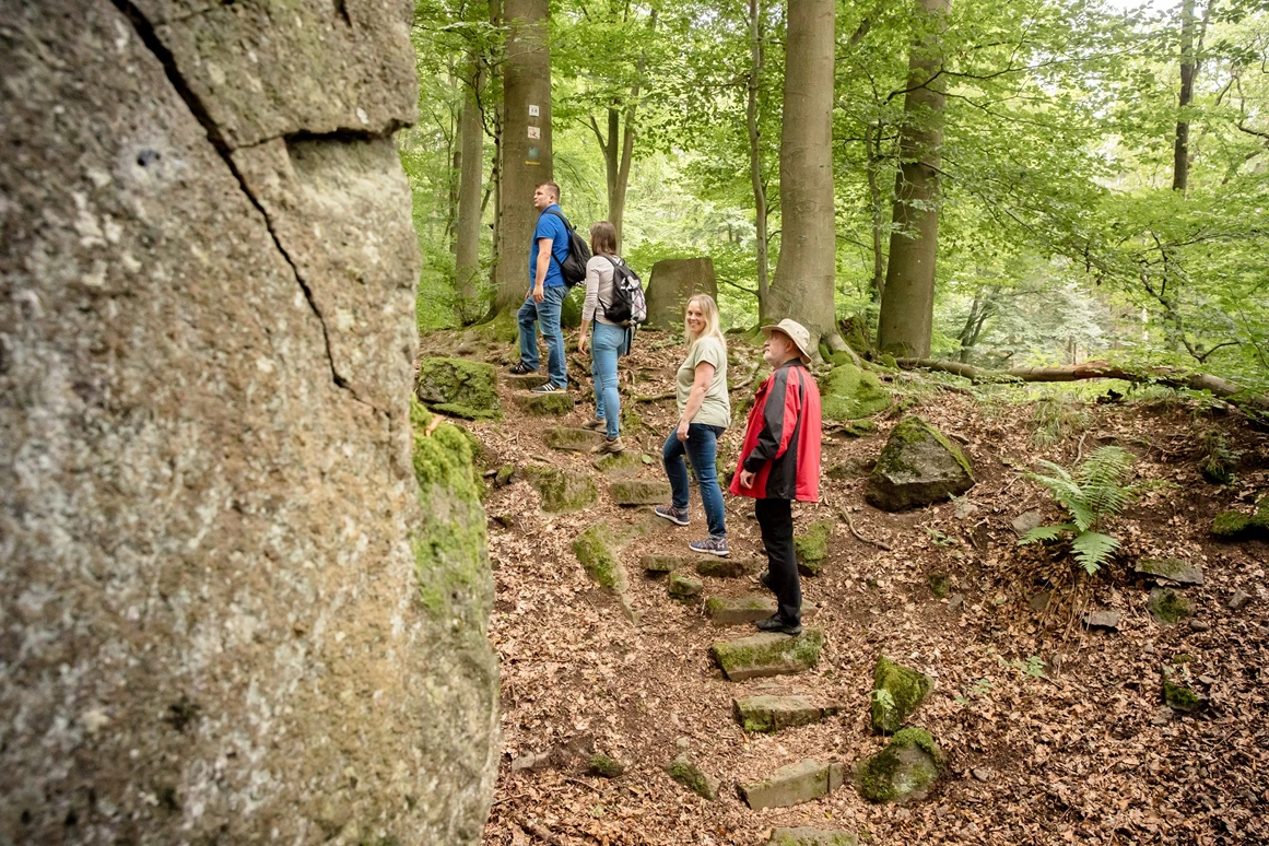 Ausflugsziel: Hohe Buche