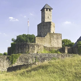 Ausflugsziel: Burg Grimburg - Burg Grimburg