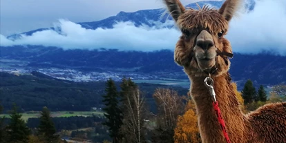 Viaggio con bambini - Thomatal - ALPAKAWANDERUNG