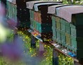 Ausflugsziel: Bienenlehrpfad Steinegg - Bienenlehrpfad Karneid