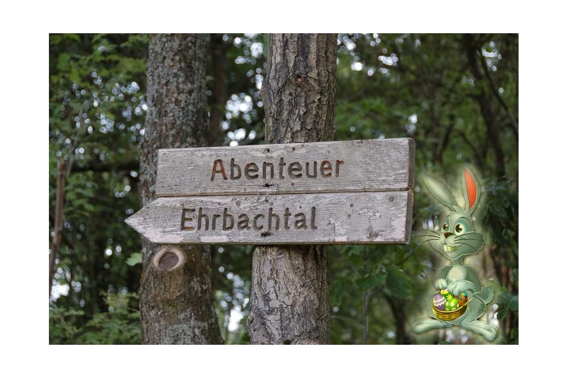 Ausflugsziel: Abenteuer Ehrbachtal