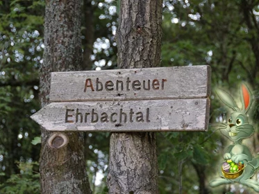 Ausflugsziel: Abenteuer Ehrbachtal