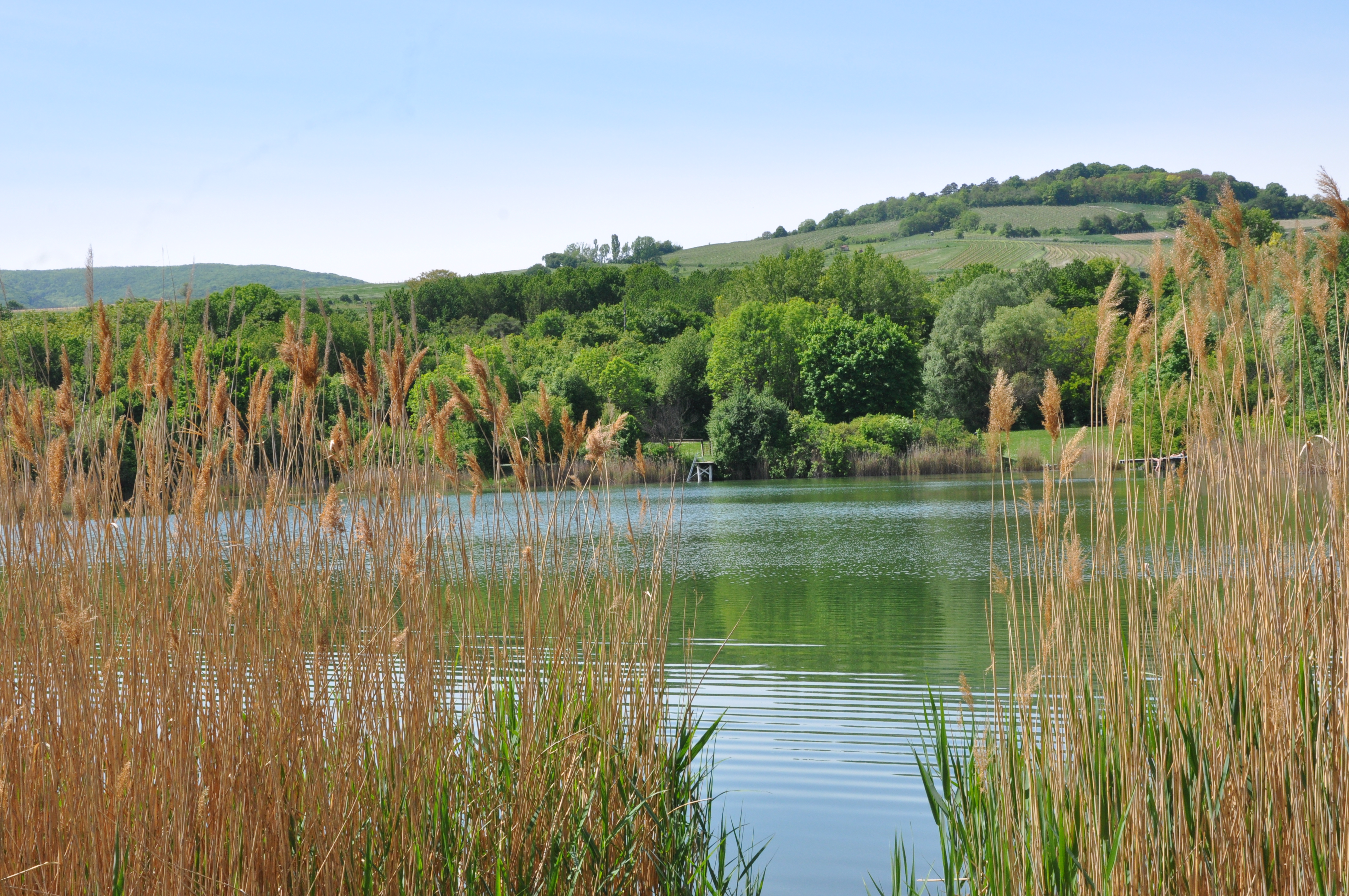 Ausflug mit Kindern - Wienerwald - Windradlteich Ozean