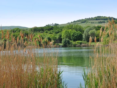 Ausflugsziel: Windradlteich Ozean