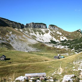 Ausflugsziel: Wandergenuß in der Bräuning Alm - Erlebnisberg Loser Altaussee