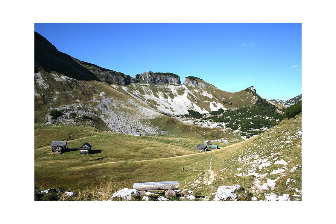 Ausflugsziel: Wandergenuß in der Bräuning Alm - Erlebnisberg Loser Altaussee