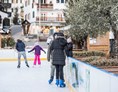 Ausflugsziel: Eislaufplatz in Schenna