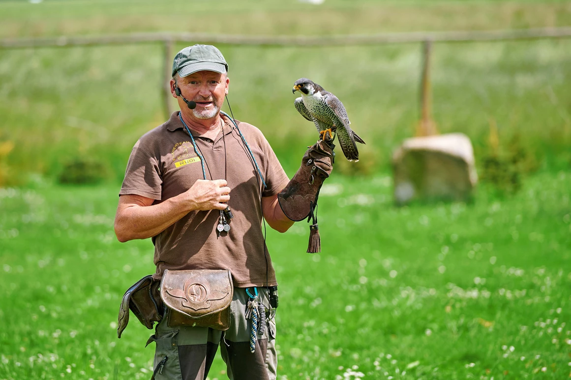 Ausflugsziel: Wildfreizeitpark Oberreith