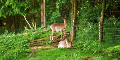 Reis met kinderen - Bruckmühl (Landkreis Rosenheim) - Wildfreizeitpark Oberreith