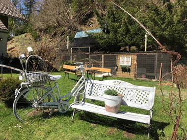 Ausflugsziel: Günster Wasserfall