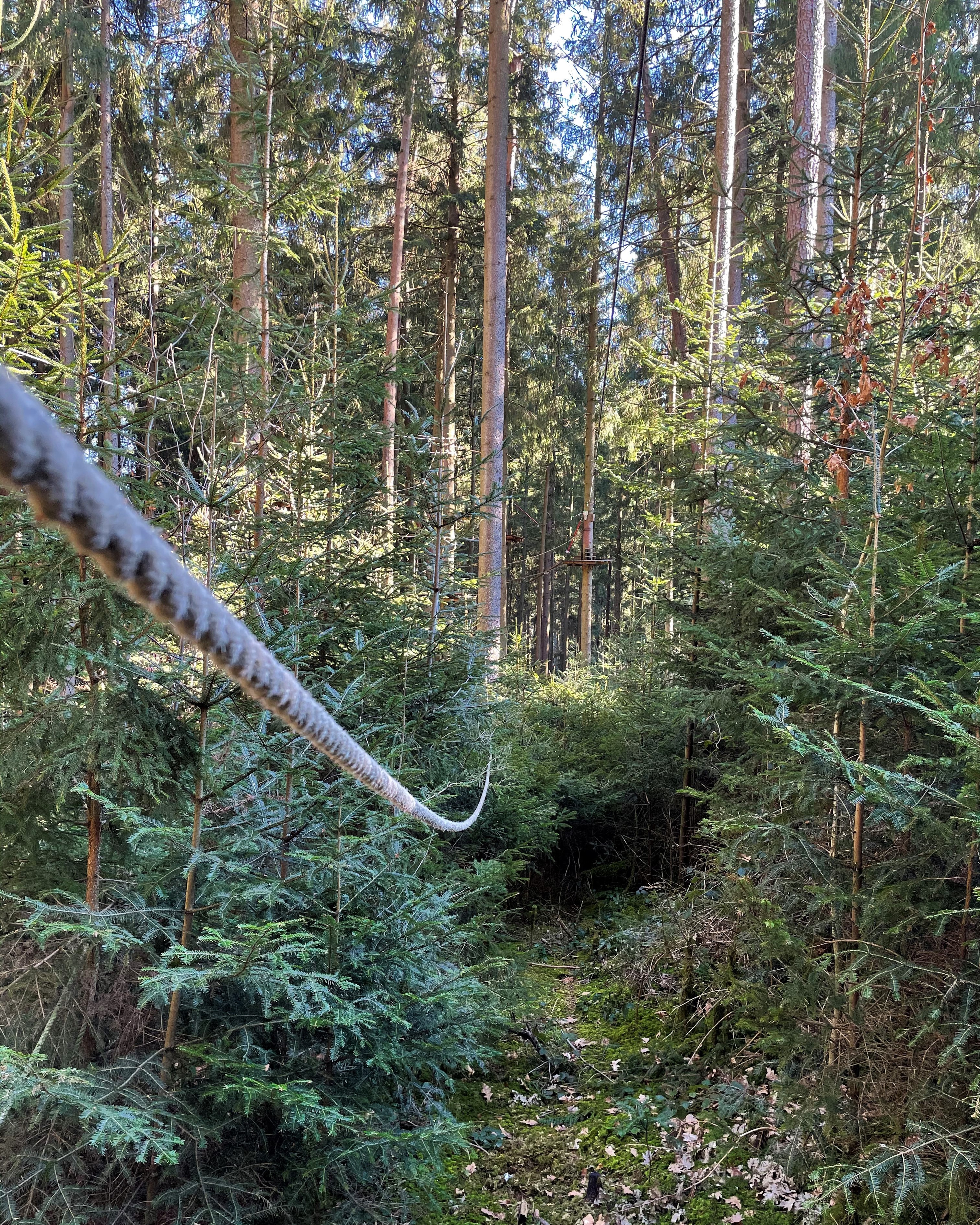 Ausflugsziel: Waldseilgarten Oberreith
