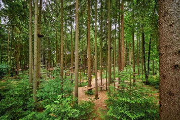 Ausflugsziel: Waldseilgarten Oberreith