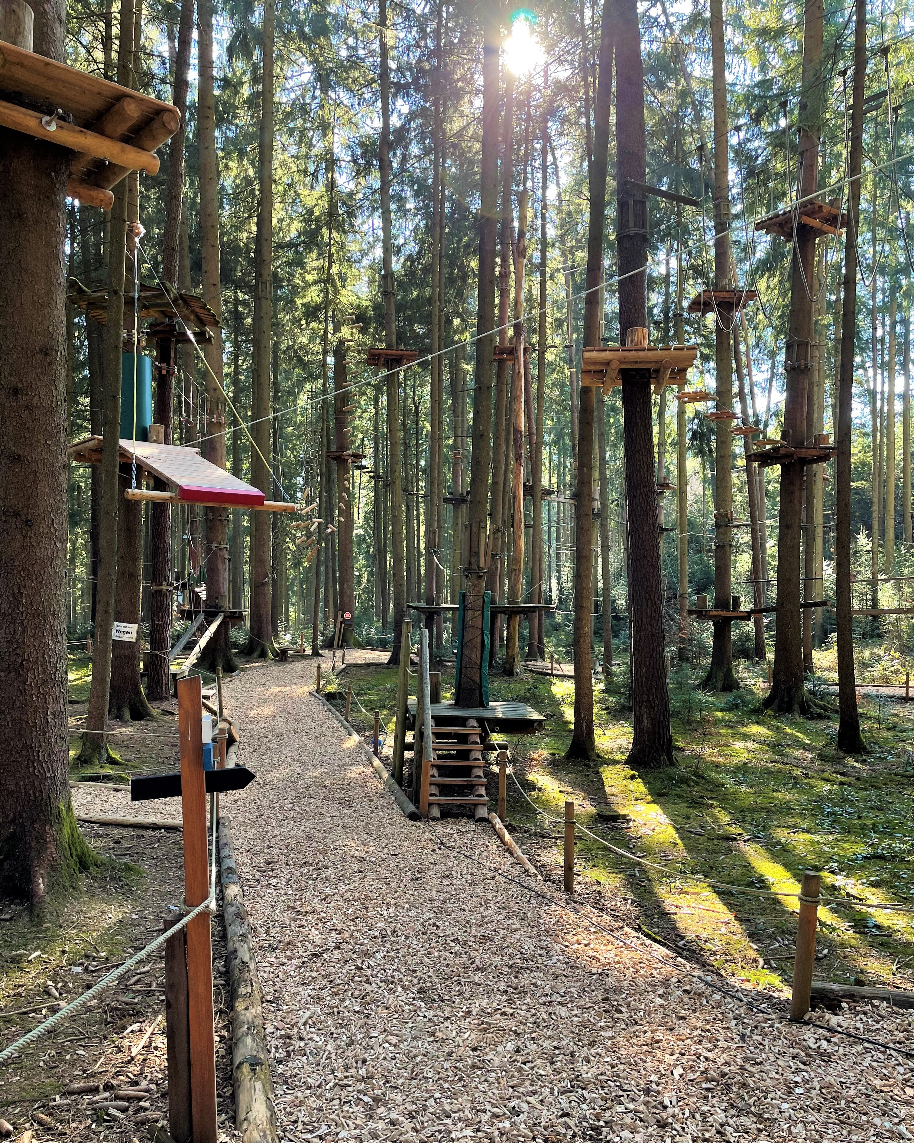 Ausflugsziel: Waldseilgarten Oberreith