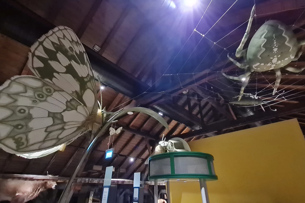 Ausflugsziel: inatura - Erlebnis Naturschau Dornbirn