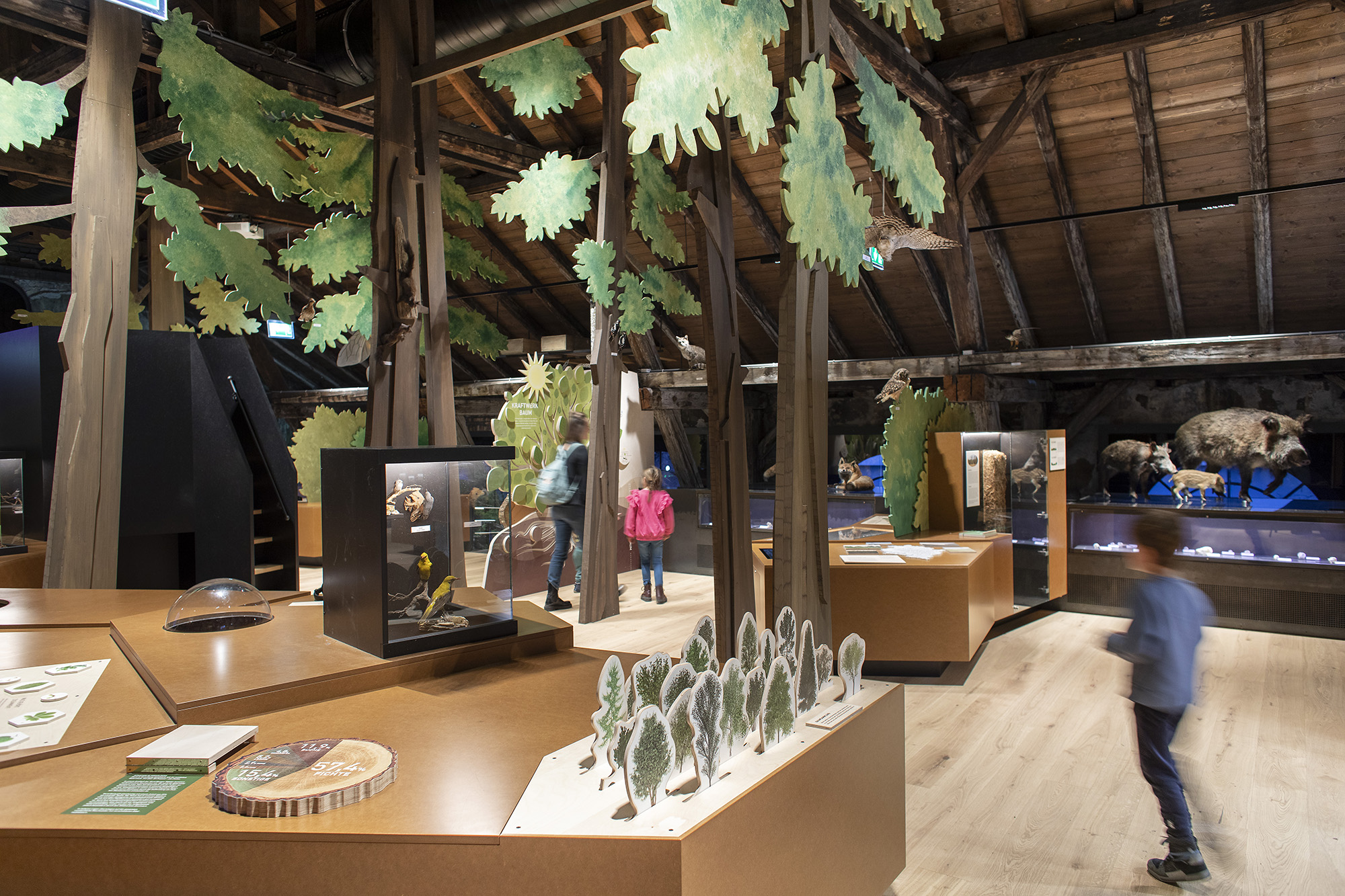 Ausflugsziel: inatura - Erlebnis Naturschau Dornbirn