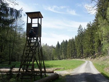 Ausflugsziel: Entlang des Schlötengrunds - Ringweg um Greiz