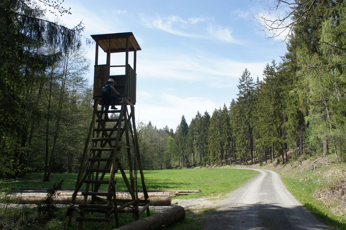 Ausflugsziel: Entlang des Schlötengrunds - Ringweg um Greiz