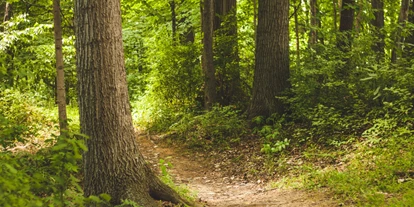 Trip with children - Leutenberg - Symbolbild für Ausflugsziel Waldspielplatz Adlernest. Keine korrekte oder ähnlich Darstellung! - Waldspielplatz Adlernest