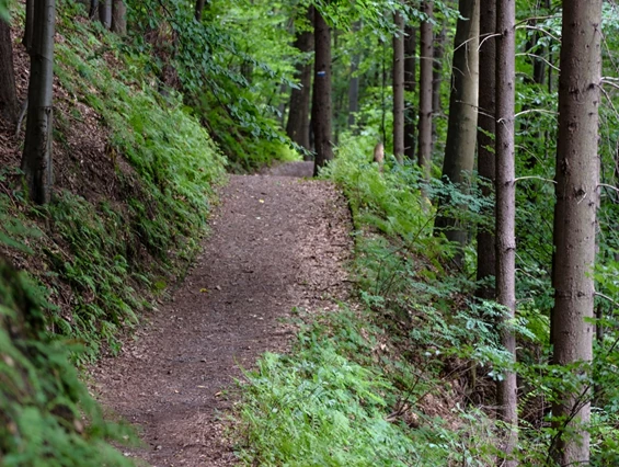Ausflugsziel: Nationalpark Hainich