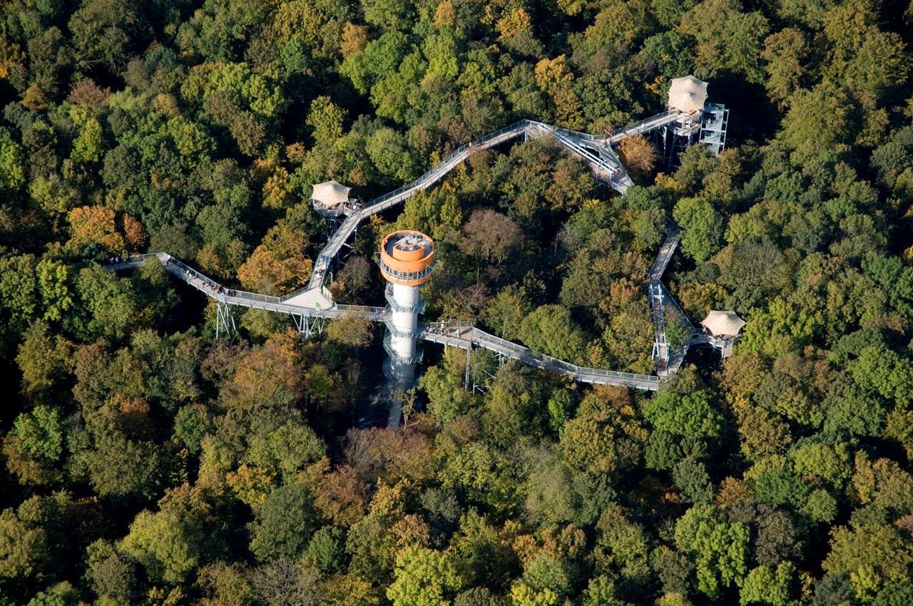 Nationalpark Hainich Highlights beim Ausflugsziel Baumkronenpfad