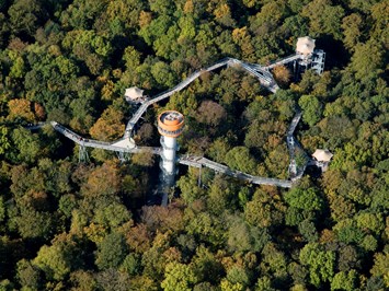 Nationalpark Hainich Highlights beim Ausflugsziel Baumkronenpfad