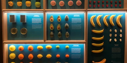 Viaggio con bambini - Blankenhain - Deutsches Gartenbaumuseum