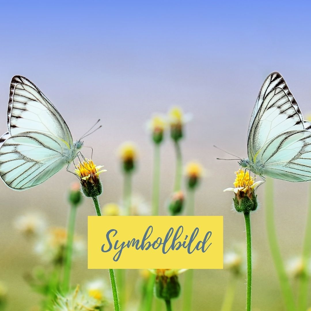 Viaggio con bambini - Alter der Kinder: 1 bis 2 Jahre - Turingia - Symbolbild für Ausflugsziel Fledermausrucksack. Keine korrekte oder ähnlich Darstellung! - Fledermausrucksack | kein Ausflugsziel