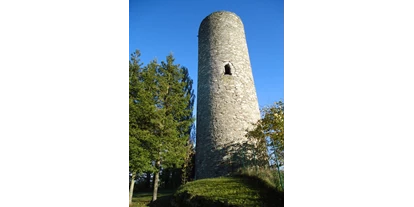 Reis met kinderen - Saaleland - Der 30m hohe Aussichtsturm "Alter Turm" in unmittelbarer Nähe des städtischen Museums, ist Wahrzeichen der Stadt. Von seiner Plattform aus hat man einen wunderbaren Rundblick auf Bad Lobenstein sowie auf benachbarte Orte und in die Ferne. - Alter Turm Bad Lobenstein