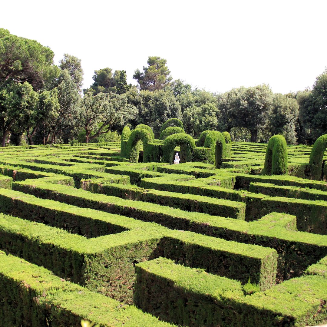 Trip with children - Erfurt - Irrgarten Eckartsberga