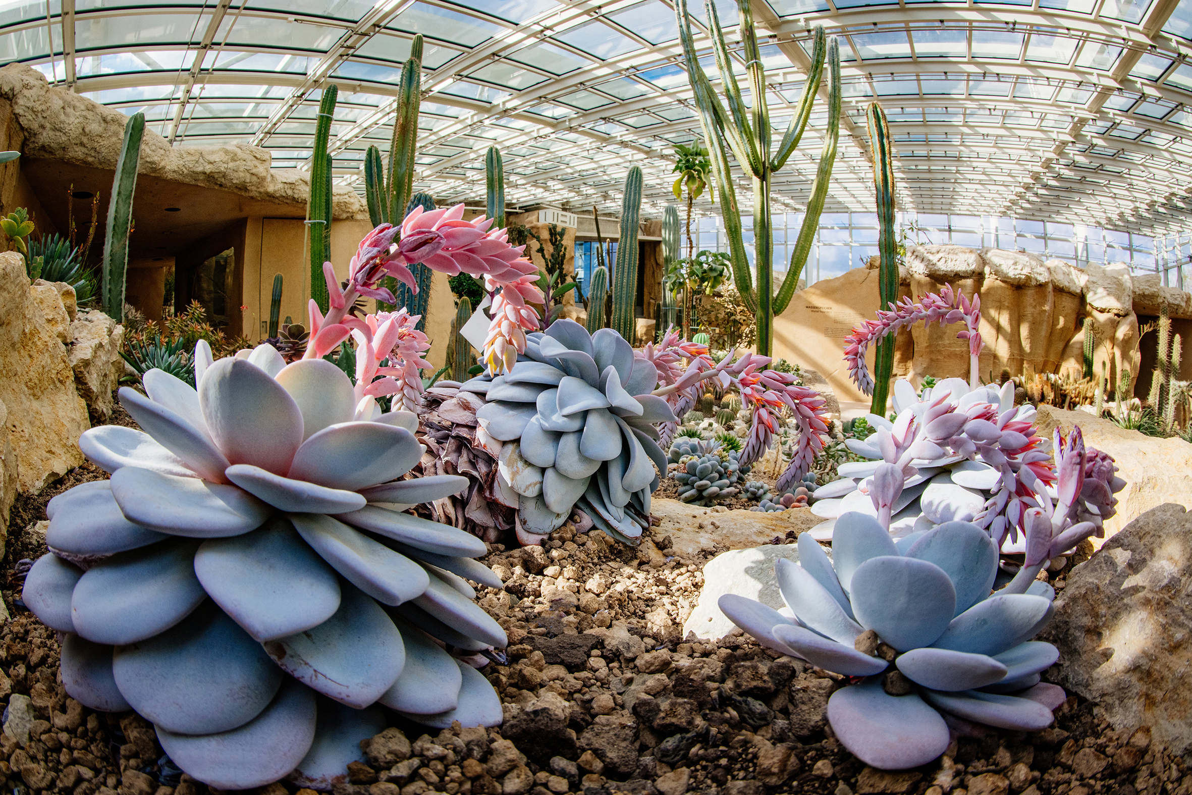 Trip with children - Erfurt - Wüste im Danakil  - egapark