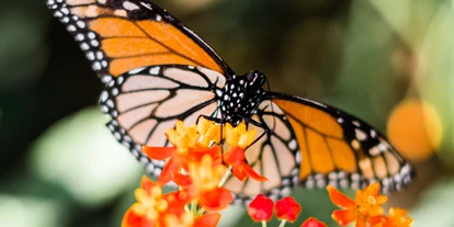 Trip with children - Leutenberg - Ausstellung Biosphärenreservat Thüringer Wald