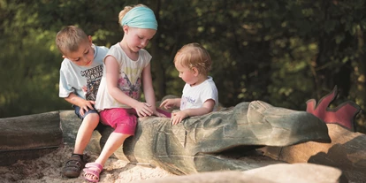 Ausflug mit Kindern - Gerstungen - Außergewöhnliche Spielgeräte gilt es zu entdecken.
 - Wildkatzenkinderwald