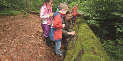 Ausflug mit Kindern - Gerstungen - Kinder entdecken die Lebewesen im an Totholz.
 - Wildkatzenkinderwald
