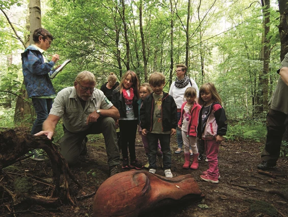 Ausflugsziel: Was raschelt da im Unterholz? Ein Ranger erzählt die Geschichte der Waldgeister. - Wildkatzenkinderwald