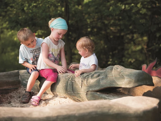 Ausflugsziel: Wildkatzenkinderwald