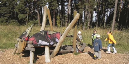 Ausflug mit Kindern - Gerstungen - Wildkatzenkinderwald