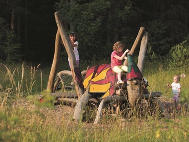 Ausflugsziel: Wildkatzenkinderwald