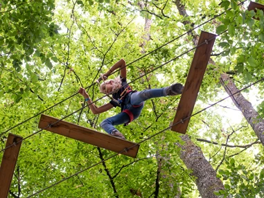 Ausflugsziel: Symbolbild für Ausflugsziel Kletterwald Koala. Keine korrekte oder ähnlich Darstellung! - Kletterwald Pößneck