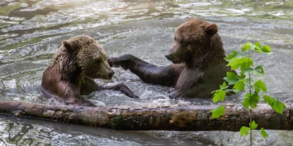 Reis met kinderen - Nordthüringen - Alternativer Bärenpark® Worbis
