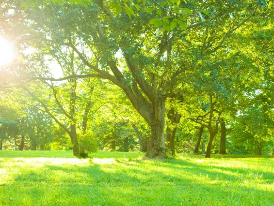 Ausflugsziel: Symbolbild für Ausflugsziel Erholungspark-Pahna (Thüringen). - Erholungspark-Pahna