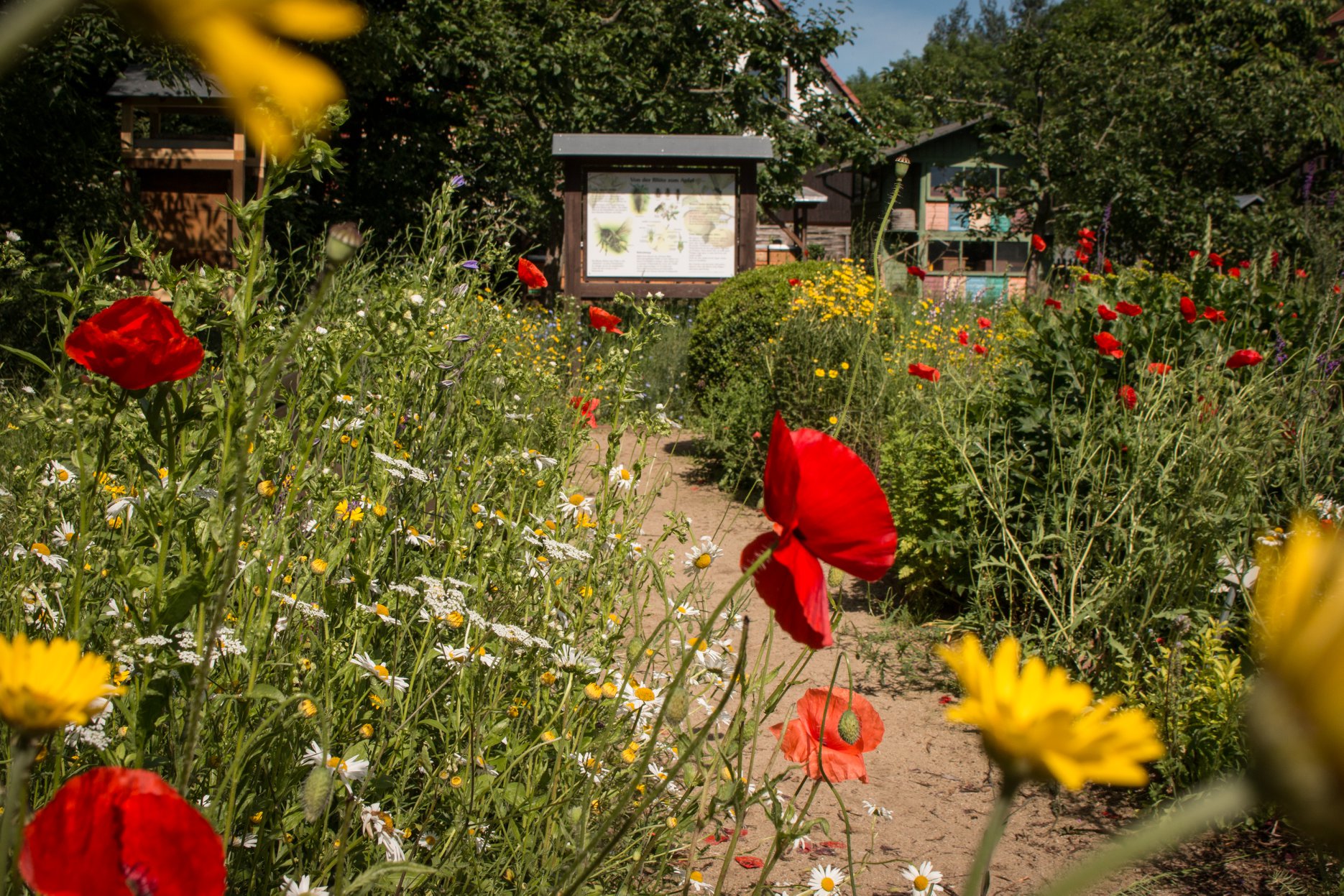 Ausflugsziel: Deutsches Bienenmuseum