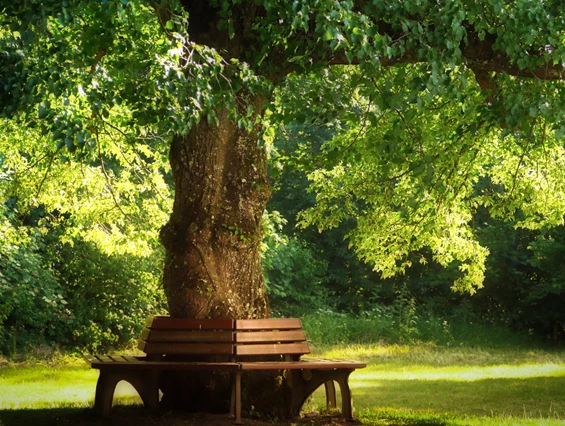 Ausflugsziel: Kurpark Georgenthal