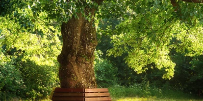 Reis met kinderen - Bad Kösen - Symbolbild für Ausflugsziel Buteile-Park. Keine korrekte oder ähnlich Darstellung! - Buteile-Park