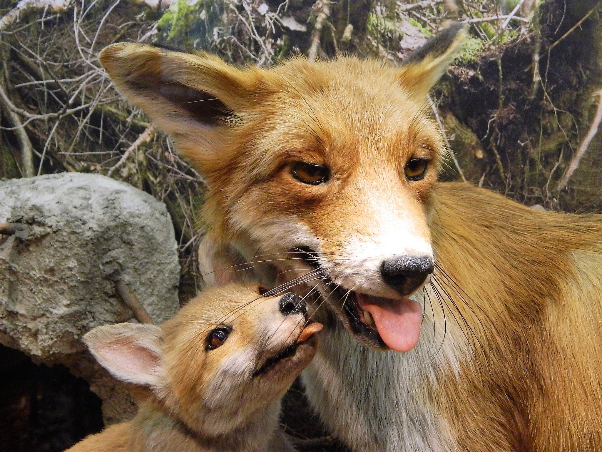 Ausflugsziel: Haus der Natur Goldisthal
