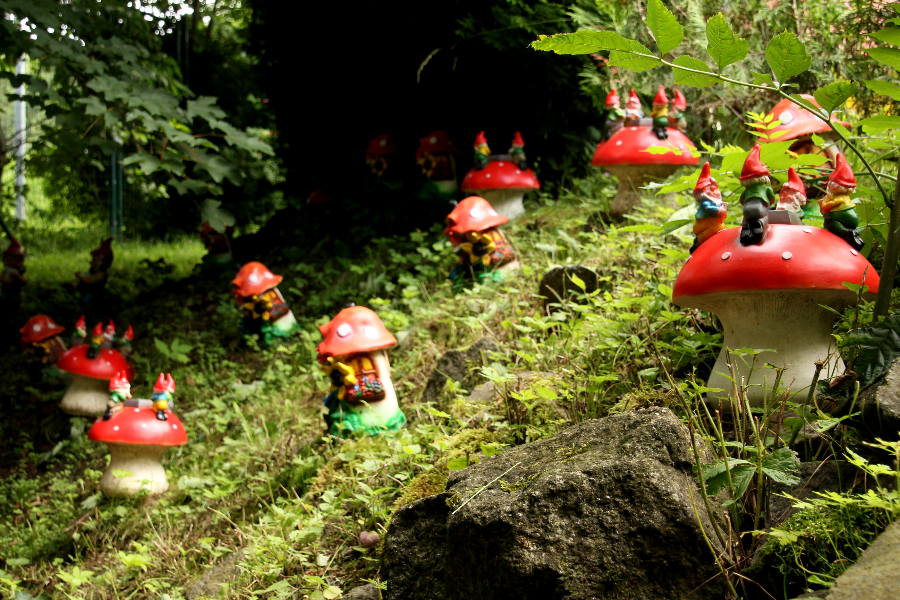 Ausflugsziel: Zwergen-Park Trusetal