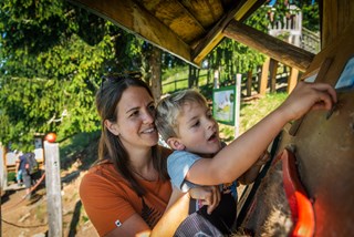 Ausflugsziel: Montelino's Erlebnisweg