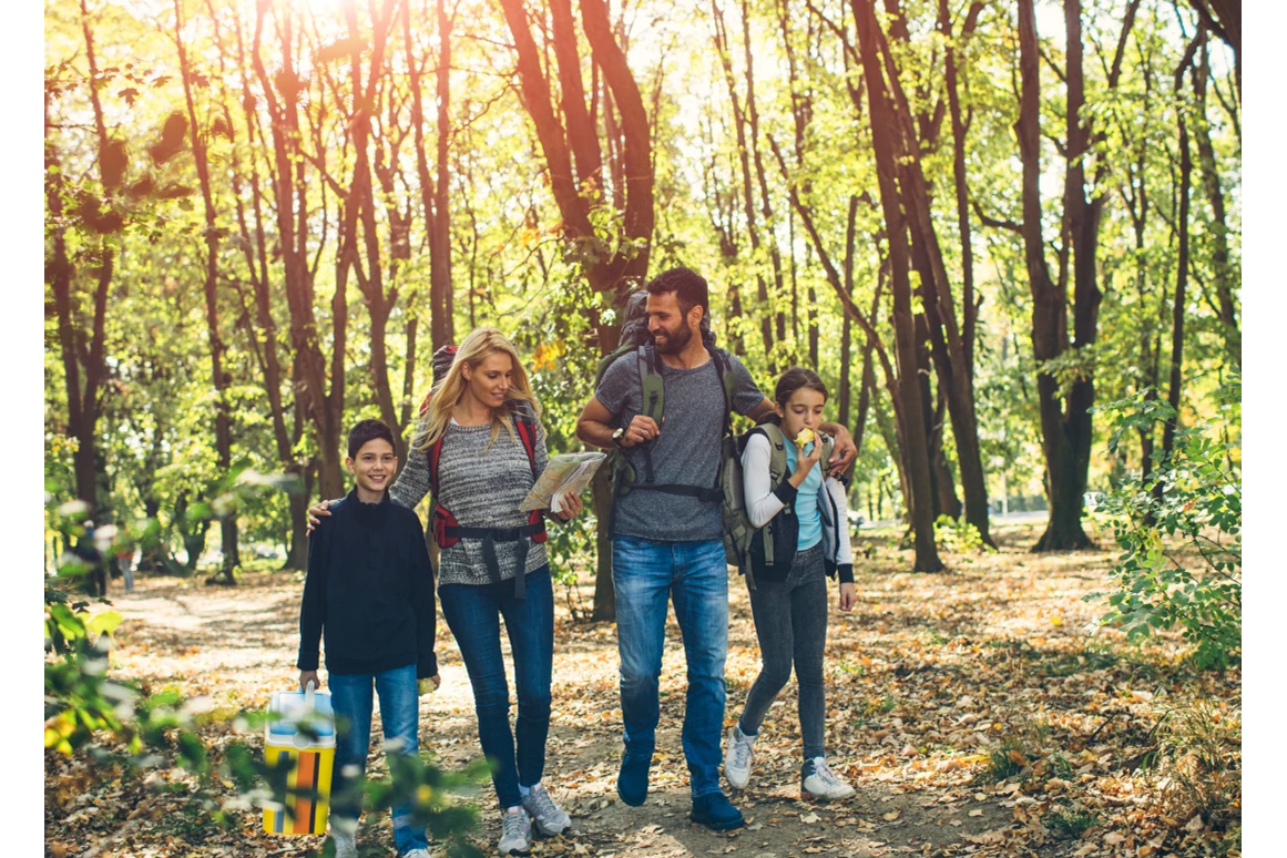 Ausflugsziel: Symbolbild für Ausflugsziel Heimat-Rundweg. Keine korrekte oder ähnlich Darstellung! - Heimat-Rundweg