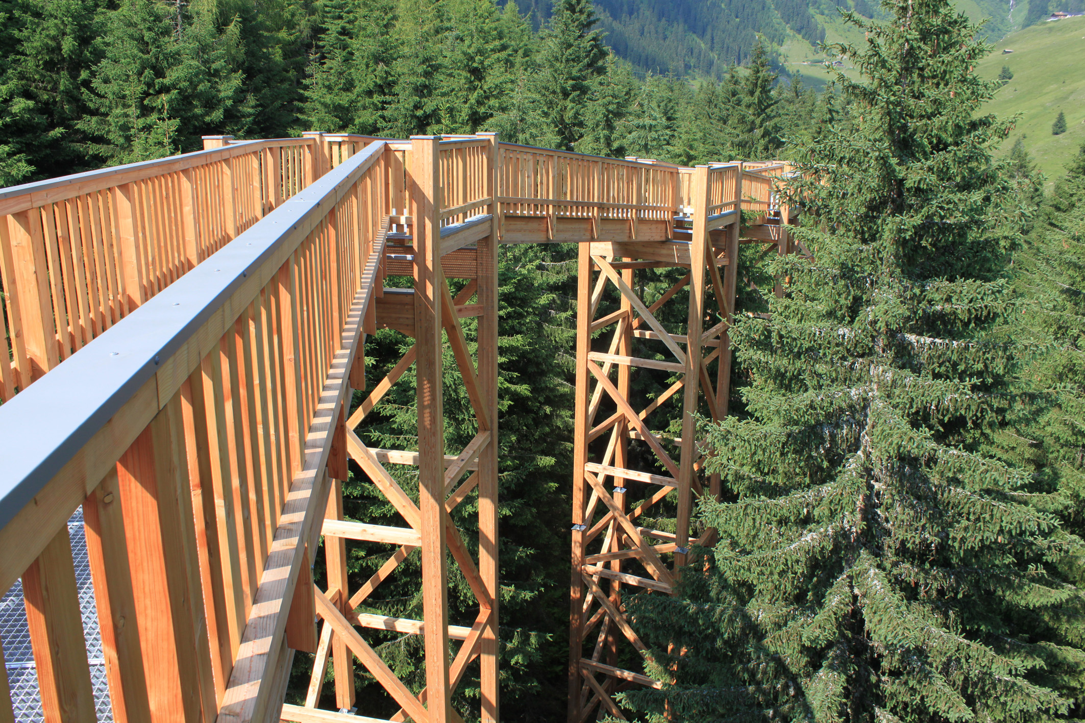 Ausflugsziel: Glemmtaler Baumzipfelweg