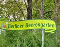 Ausflugsziel: Berliner Beerengärten